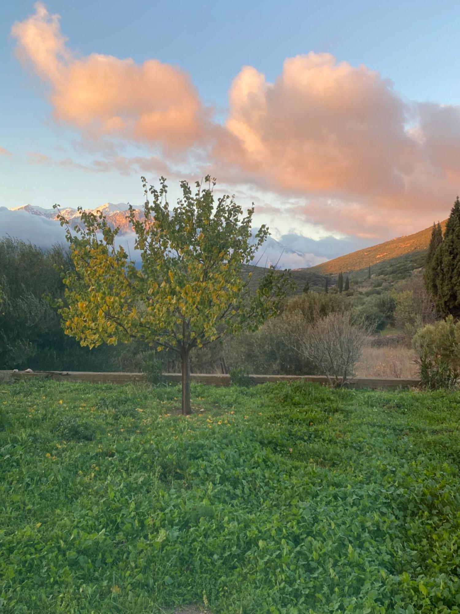Stellas Guesthouse Near Arachova Stírion Exteriör bild
